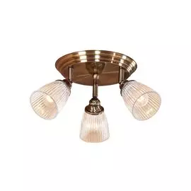 Светильник настенно-потолочный Виндзор