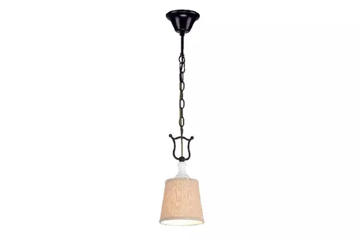 Светильник подвесной Accogliente