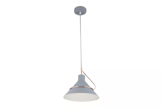 Светильник подвесной FR5025