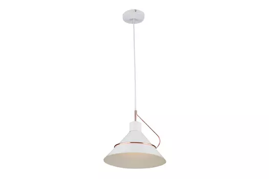 Светильник подвесной FR5025