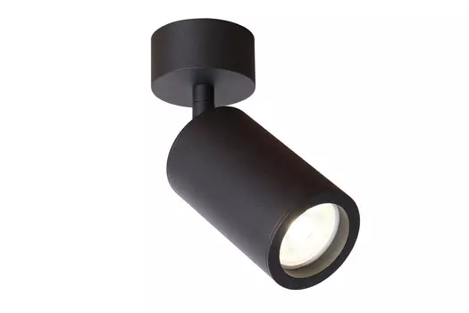 Светильник потолочный Angularis