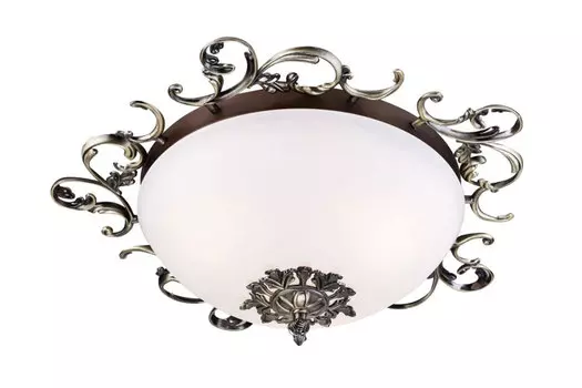 Светильник потолочный C900