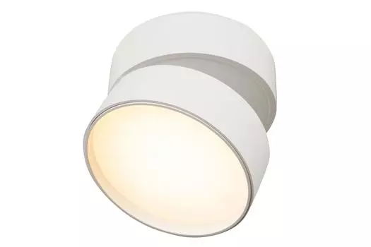 Светильник потолочный Ceiling Wall