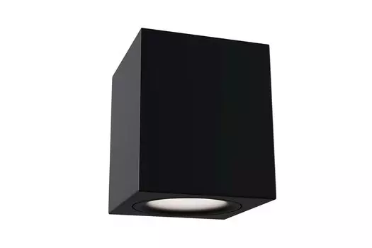 Светильник потолочный Ceiling Wall Alfa