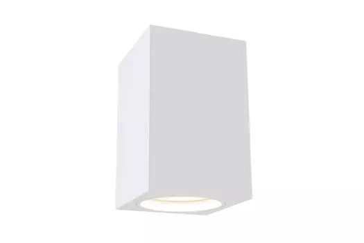 Светильник потолочный Ceiling Wall Alfa