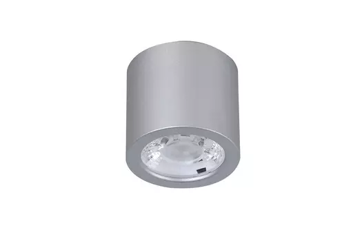 Светильник потолочный Deorsum