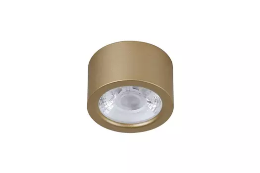 Светильник потолочный Deorsum