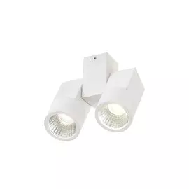 Светильник потолочный Дубль