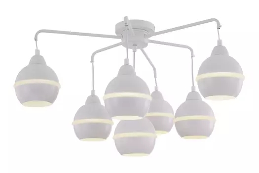 Светильник потолочный FR5004