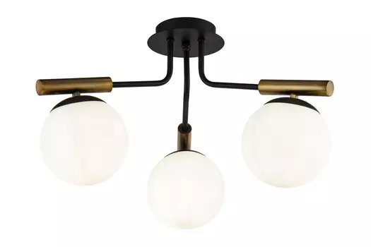 Светильник потолочный FR5011