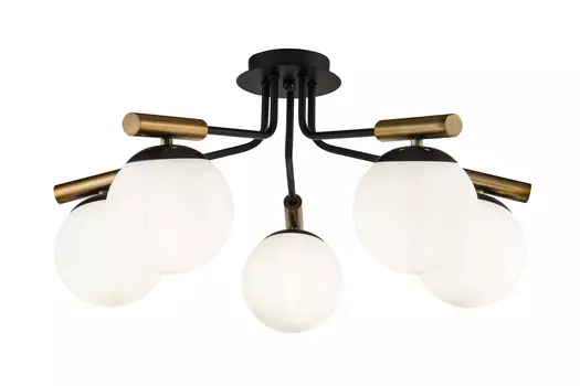 Светильник потолочный FR5011