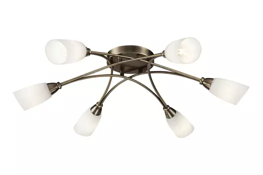 Светильник потолочный FR5021