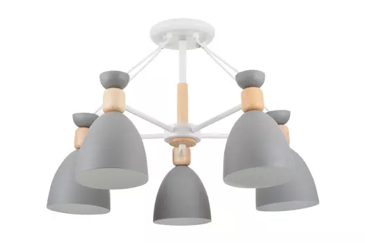 Светильник потолочный FR5033