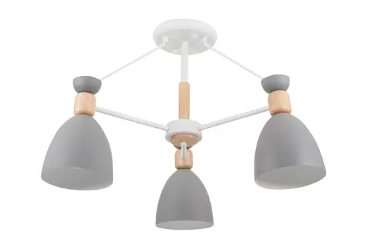 Светильник потолочный FR5033