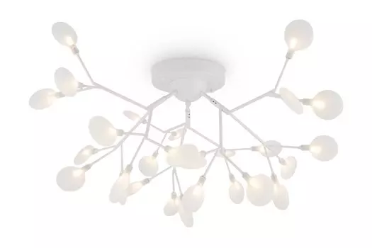 Светильник потолочный FR5049CL