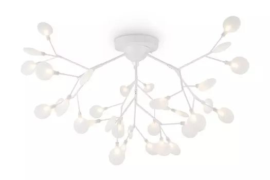 Светильник потолочный FR5049CL