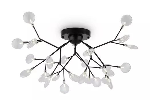 Светильник потолочный FR5049CL