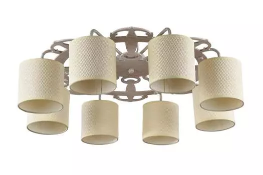 Светильник потолочный FR5100