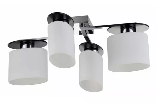 Светильник потолочный FR5101