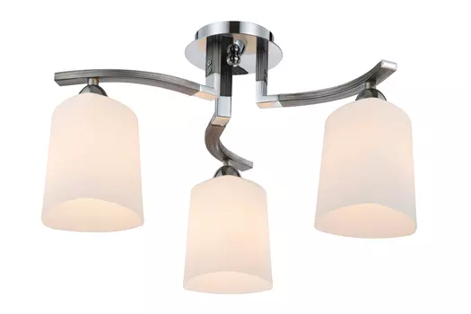 Светильник потолочный FR5454