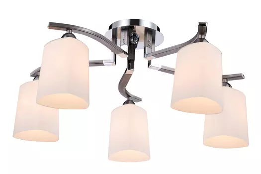 Светильник потолочный FR5454