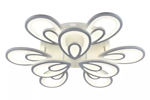 Светильник потолочный LED 10209