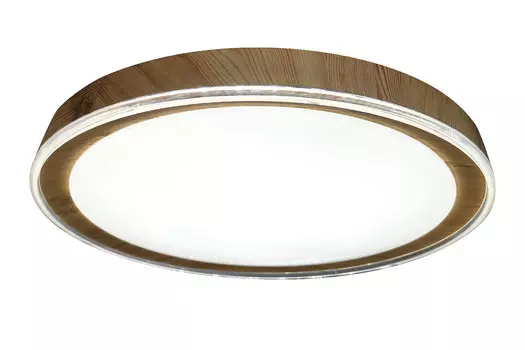 Светильник потолочный LED 10269