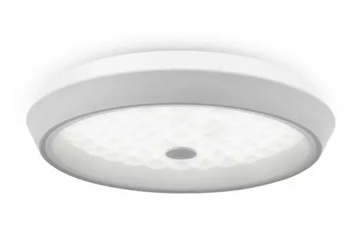 Светильник потолочный LED FR10012CL