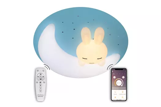 Светильник потолочный Led Lamps 81087