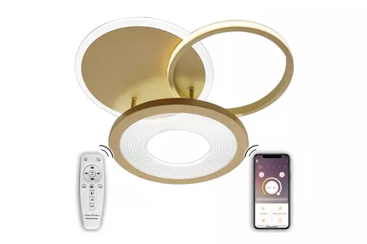 Светильник потолочный Led Lamps 81300