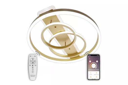 Светильник потолочный Led Lamps 81302