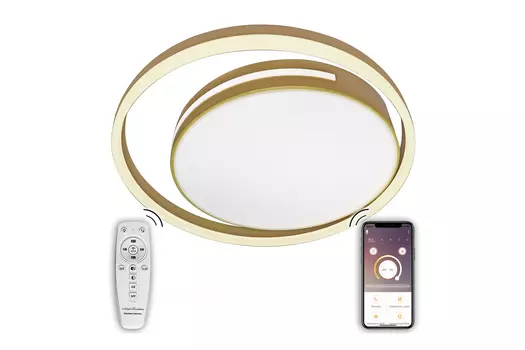 Светильник потолочный Led Lamps 81304