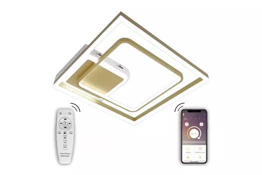 Светильник потолочный Led Lamps 81309