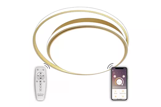 Светильник потолочный Led Lamps 81315