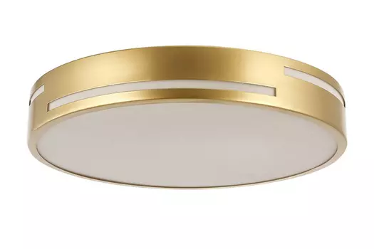 Светильник потолочный LED Pall