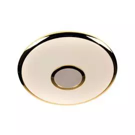 Светильник потолочный LED Старлайт