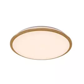 Светильник потолочный Старлайт