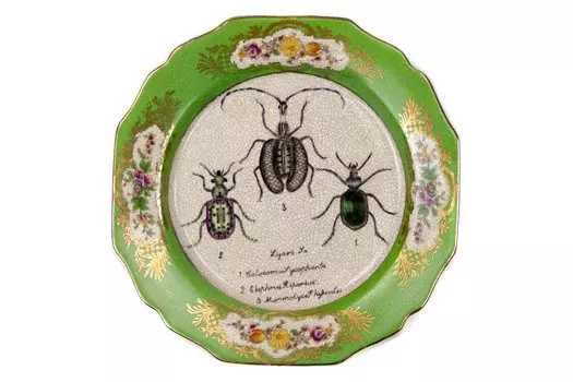 Тарелка настенная Жуки