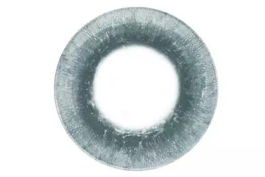 Тарелка ORBL00021