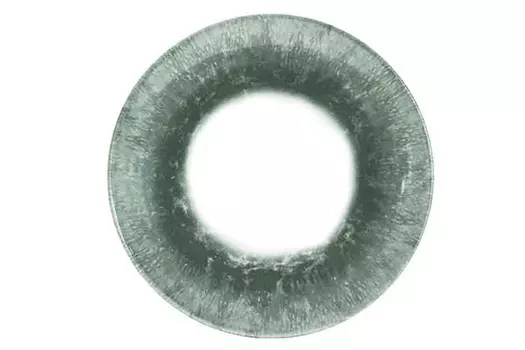 Тарелка ORGN00021