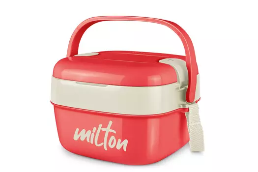 Термо ланч-бокс Cubic Small