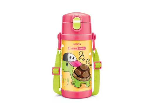 Термобутылка для воды Romp