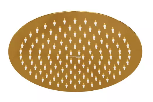 Верхняя душевая насадка Sauer