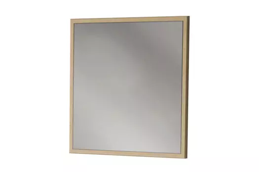 Зеркало Джексон