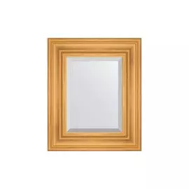 Зеркало в раме с фацетом Травленое золото