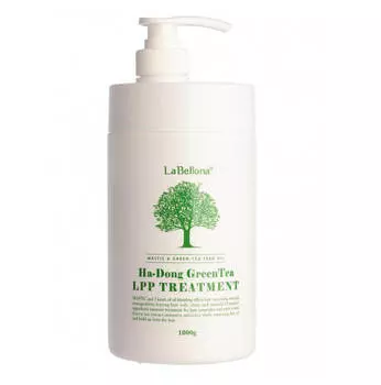 Лечебная мастика для волос Gain Cosmetics Mastic Ha-Dong Green Tea LPP Treatment