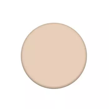 Матирующая компактная пудра Tony Moly Cats Wink Clear Pact #1 Clear Skin - Светлый беж