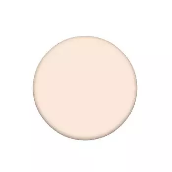 Жидкий консилер The Saem Cover Perfection Tip Concealer 0.5 Ice Beige