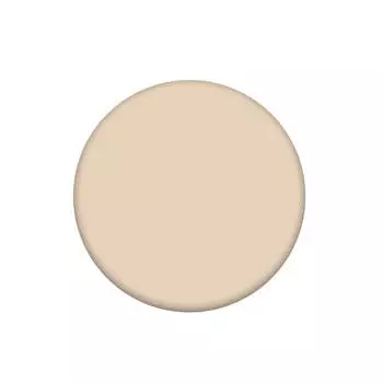 Жидкий консилер The Saem Cover Perfection Tip Concealer 01 Clear Beige