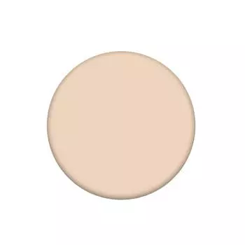 Жидкий консилер The Saem Cover Perfection Tip Concealer 1.25 Light Beige